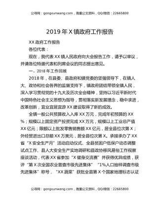 2019年X镇政府工作报告