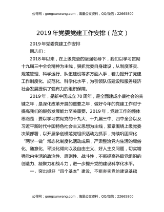 2019年党委党建工作安排（范文）