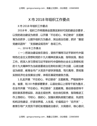 X市2018年组织工作要点
