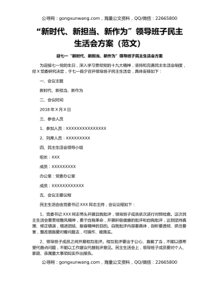 “新时代、新担当、新作为”领导班子民主生活会方案（范文）
