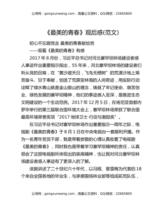 《最美的青春》观后感(范文)