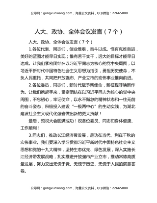 人大、政协、全体会议发言（7个）