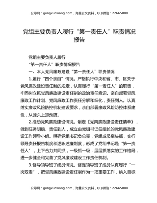 党组主要负责人履行“第一责任人”职责情况报告