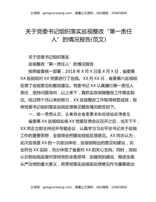 关于党委书记组织落实巡视整改“第一责任人”的情况报告(范文)