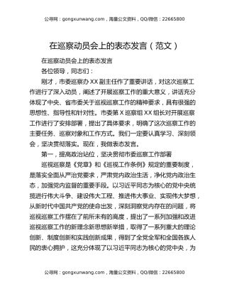 在巡察动员会上的表态发言（范文）