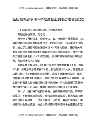 在扫黑除恶专项斗争推进会上的表态发言(范文)
