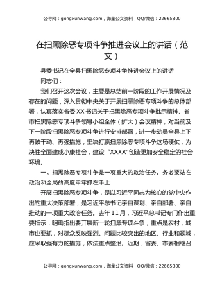 在扫黑除恶专项斗争推进会议上的讲话（范文）