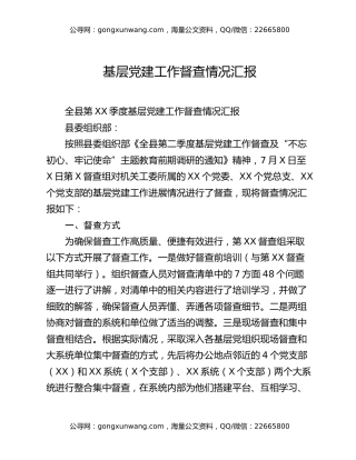 基层党建工作督查情况汇报