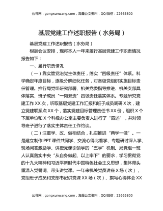 基层党建工作述职报告（水务局）