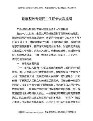 巡察整改专题民主生活会发言提纲