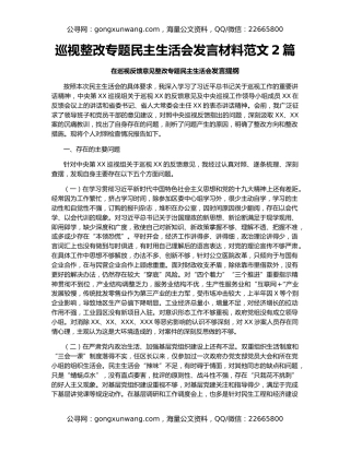 巡视整改专题民主生活会发言材料范文2篇