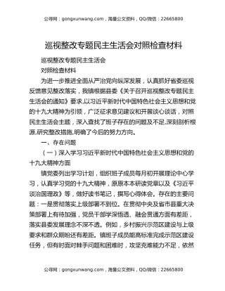 巡视整改专题民主生活会对照检查材料