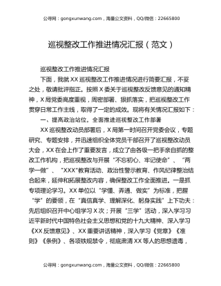 巡视整改工作推进情况汇报（范文）