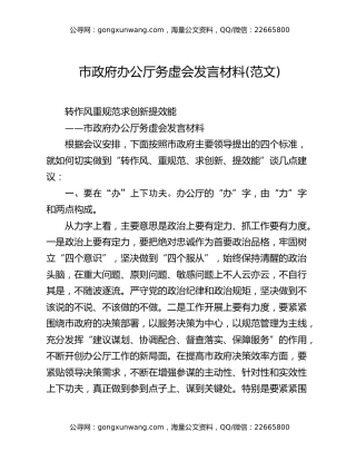 市政府办公厅务虚会发言材料(范文)