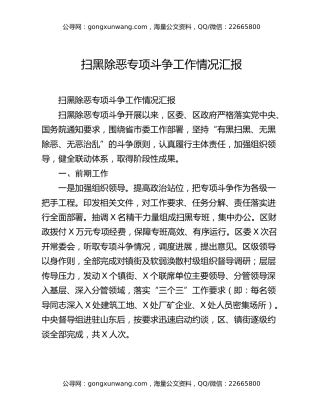 扫黑除恶专项斗争工作情况汇报