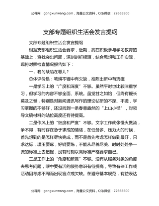 支部专题组织生活会发言提纲
