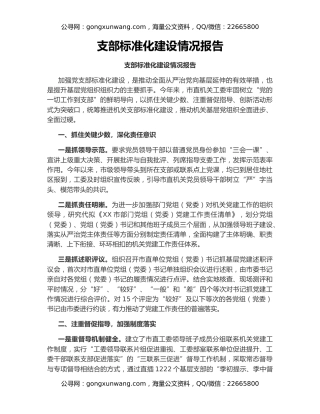 支部标准化建设情况报告