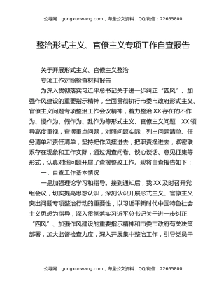 整治形式主义、官僚主义专项工作自查报告