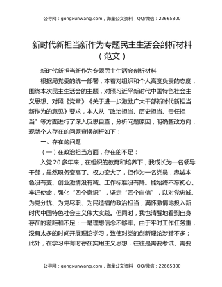 新时代新担当新作为专题民主生活会剖析材料（范文）