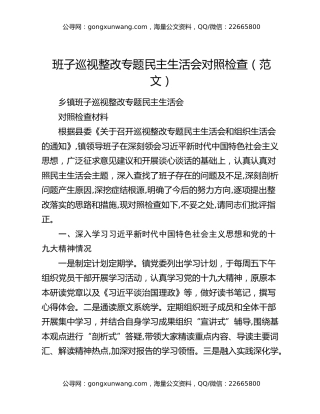 班子巡视整改专题民主生活会对照检查（范文）