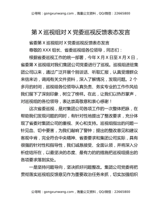 第X巡视组对X党委巡视反馈表态发言