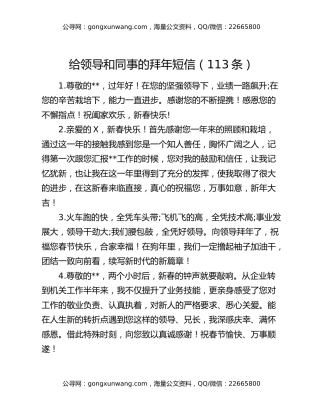 给领导和同事的拜年短信（113条）