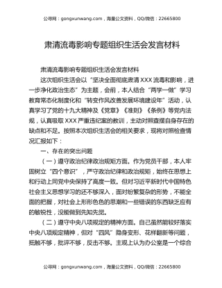 肃清流毒影响专题组织生活会发言材料