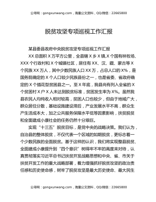 脱贫攻坚专项巡视工作汇报