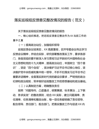 落实巡视组反馈意见整改情况的报告（范文）