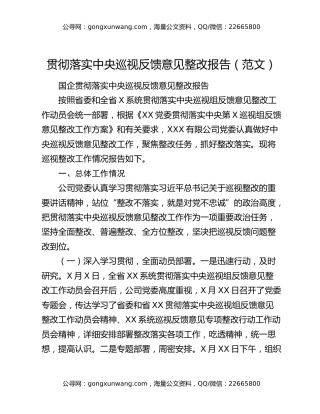 贯彻落实中央巡视反馈意见整改报告（范文）