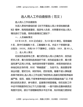选人用人工作自查报告（范文）