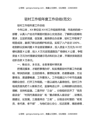驻村工作组年度工作总结(范文)