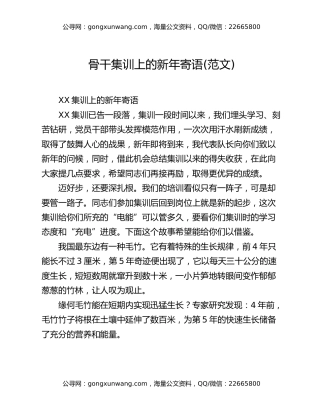 骨干集训上的新年寄语(范文)