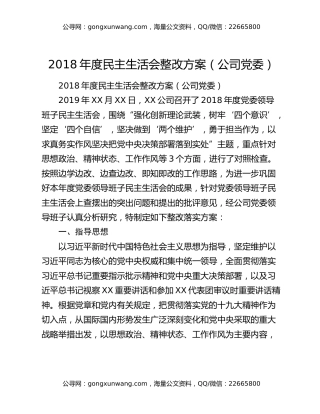 2018年度民主生活会整改方案（公司党委）