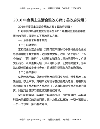 2018年度民主生活会整改方案（县政府党组）