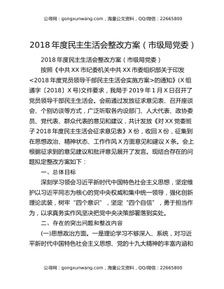 2018年度民主生活会整改方案（市级局党委）