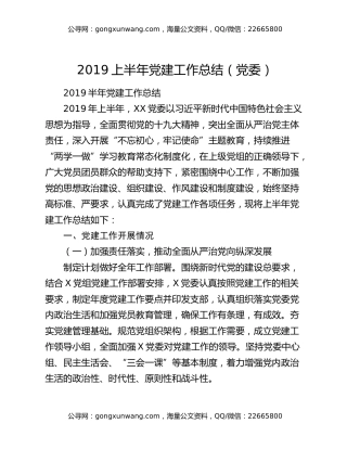 2019上半年党建工作总结（党委）