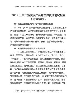2019上半年落实从严治党主体责任情况报告（市县级局）