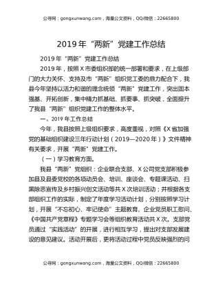 2019年“两新”党建工作总结