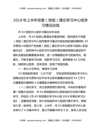 2019年上半年党委（党组）理论学习中心组学习情况总结