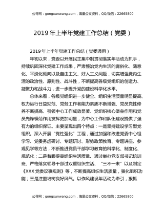 2019年上半年党建工作总结（党委）
