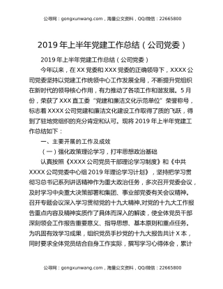 2019年上半年党建工作总结（公司党委）