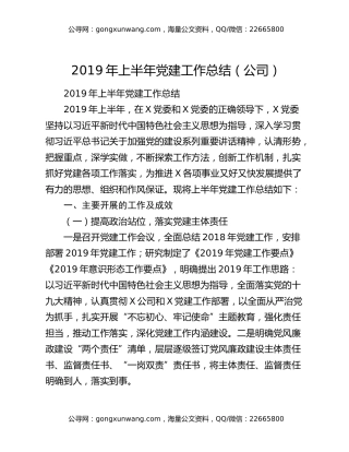 2019年上半年党建工作总结（公司）