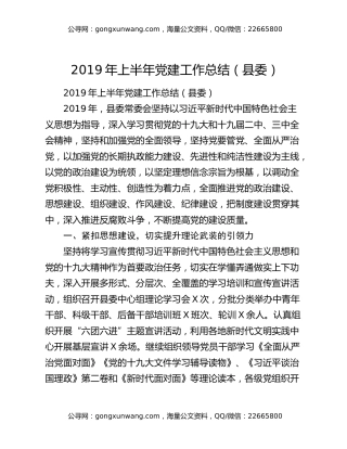2019年上半年党建工作总结（县委）