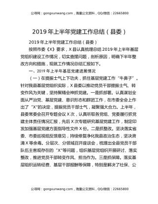 2019年上半年党建工作总结（县委）（2）