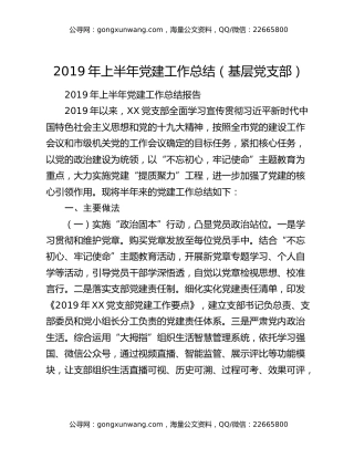 2019年上半年党建工作总结（基层党支部）