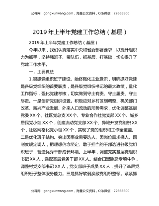 2019年上半年党建工作总结（基层）