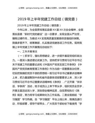 2019年上半年党建工作总结（镇党委）