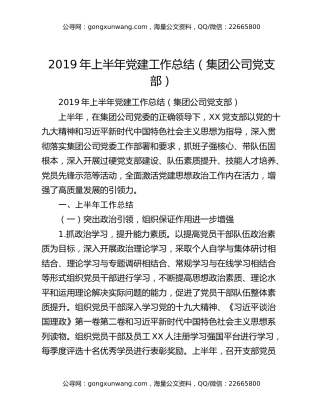 2019年上半年党建工作总结（集团公司党支部）