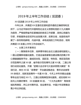 2019年上半年工作总结（区团委）